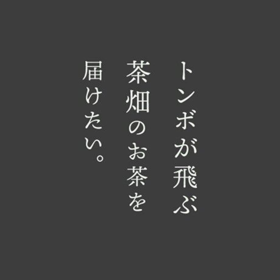 64b669fbf65f80003c04e377