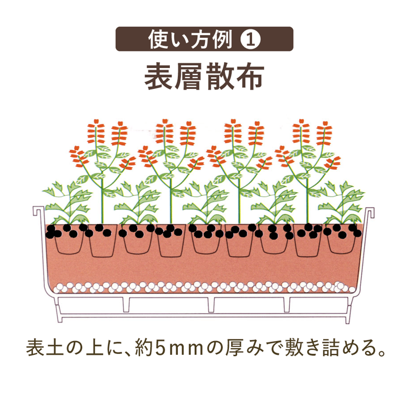 土壌改良剤 カーボエース | QuantoBasta