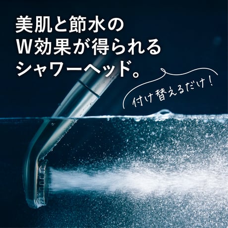 マイクロバブルシャワー ピュアブルⅡ