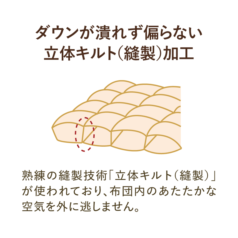 gam　新品・未使用品 ASAO ゴア羽毛布団 インスーラ シングル掛布団 ゴア® 羽毛布団 | QuantoBasta