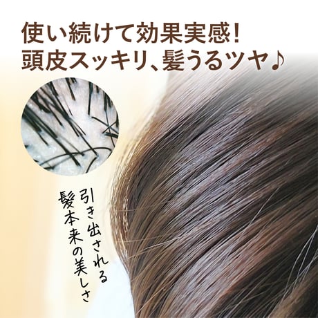※発送条件あり【限定30個】SOAP NUTS SHAMPOO（モニター品）