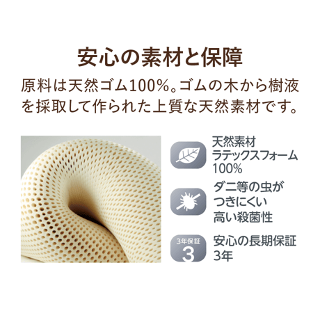 [Bodydoctor] バックアップ
