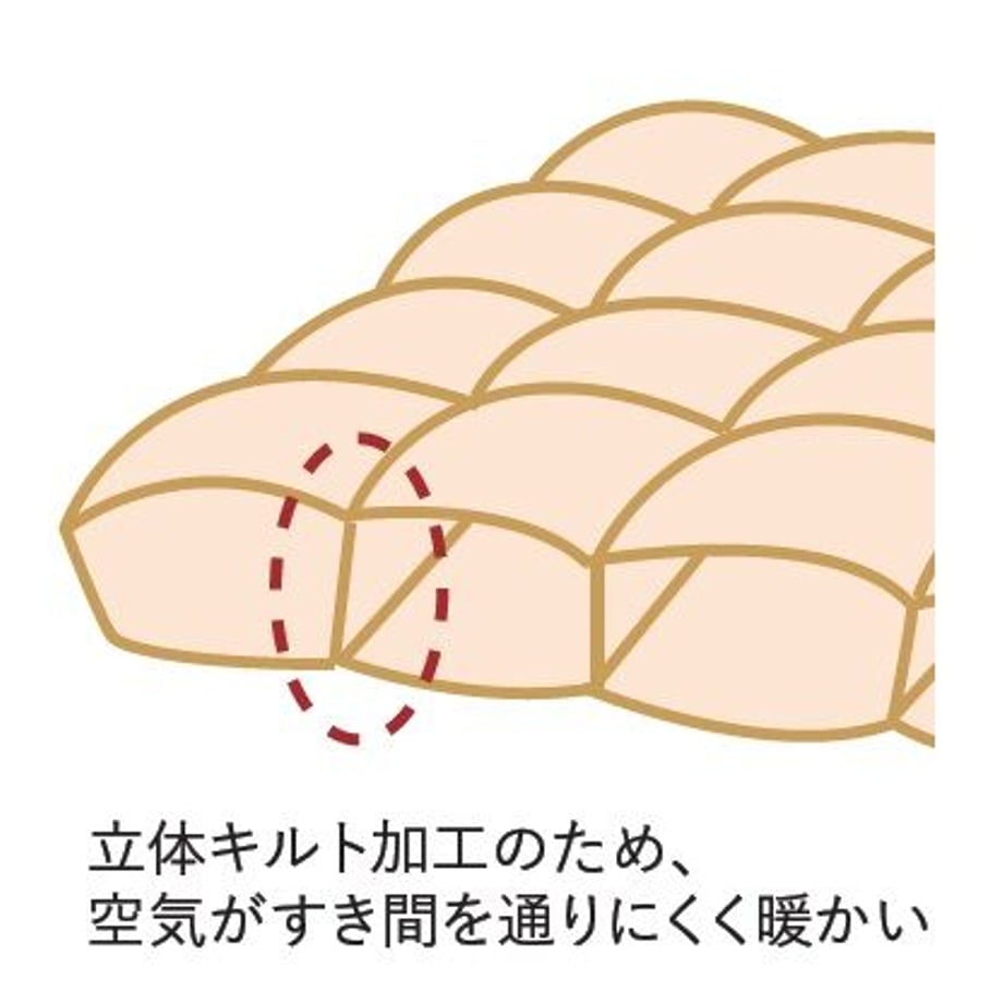 636e05fcf80f1e4474d81b63