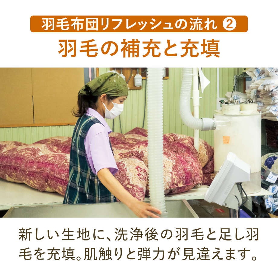 羽毛布団 増量 SDGs リフレッシュ羽毛 高密度生地 清潔 安心 日本製B ⑧ 羽毛布団リフレッシュ（コットンサテン） | QuantoBasta