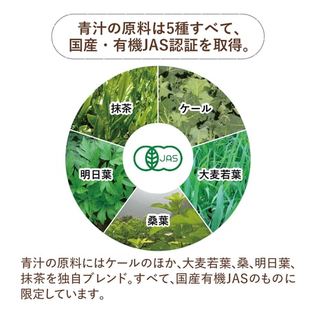 [FRUITS ROOTS] フルーツ青汁 (3g×30包)