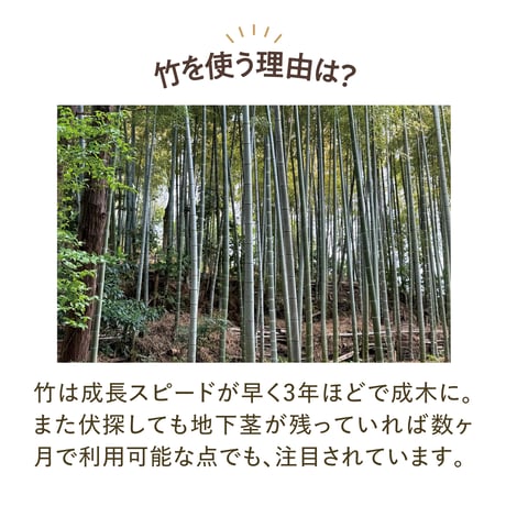 竹製ハブラシ