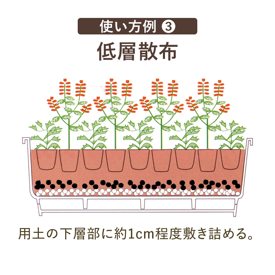 土壌改良剤 カーボエース | QuantoBasta