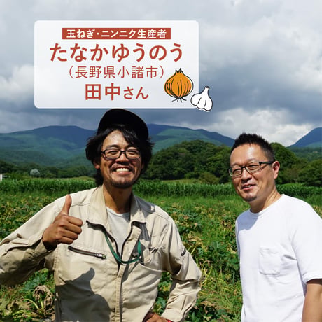 【2025ver.】リンゴたっぷりベジィなソース