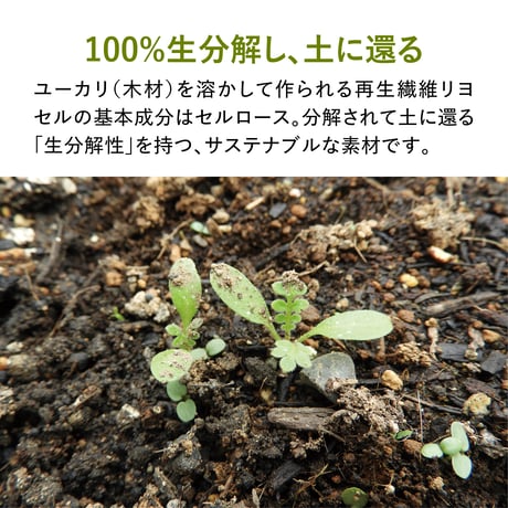 テンセルケット