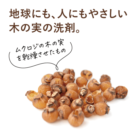 [RITTHA] 木の実の洗剤ソープナッツ