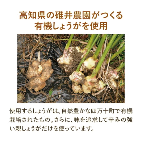 【2026ver.】メロウなシロップ