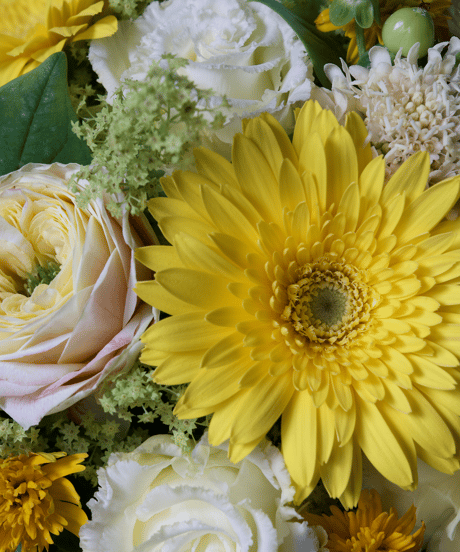 arrangement_YELLOW