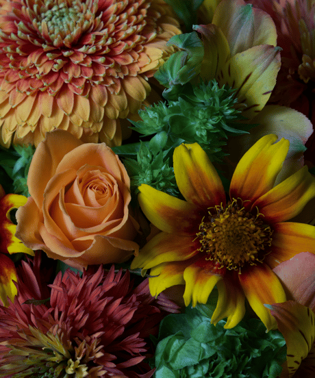 arrangement_ORANGE