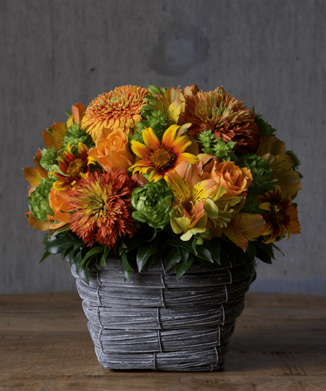 arrangement_ORANGE