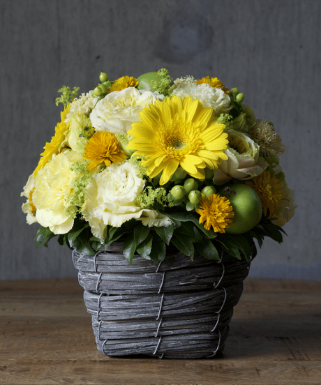 arrangement_YELLOW