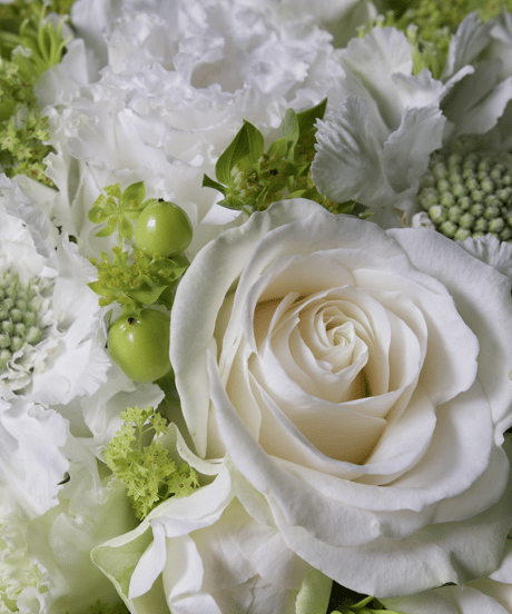 arrangement_WHITE