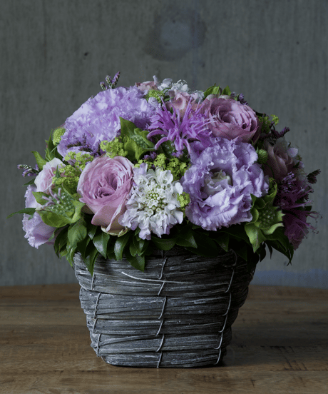 arrangement_PALE PURPLE