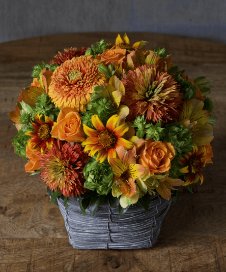 arrangement_ORANGE