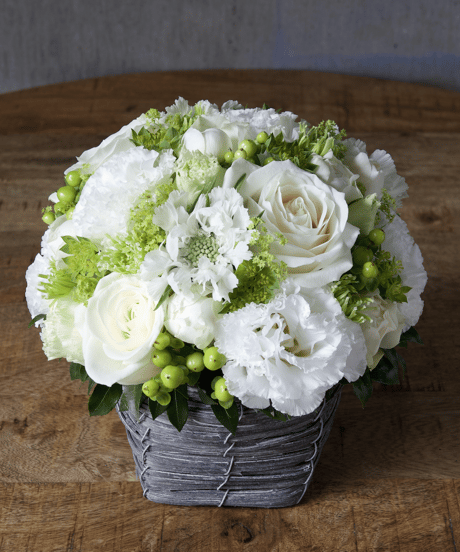 arrangement_WHITE