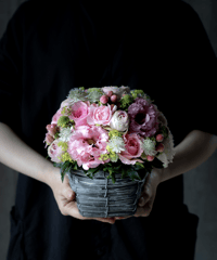 arrangement_PALE PINK