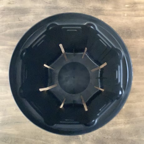 ６号  18cm    スリットポット　ＣＳＭ－１８０　特注色：黒　６個入り