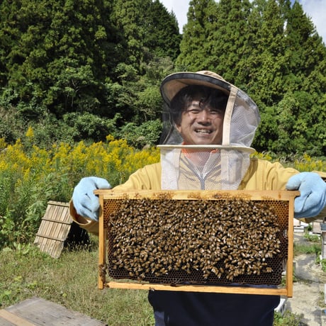 ヨーデルはちみつ　300G