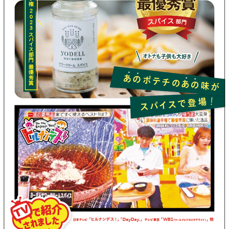 サワークリームスパイス　40ｇ