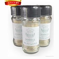サワークリームスパイス　40g　送料無料5本セット