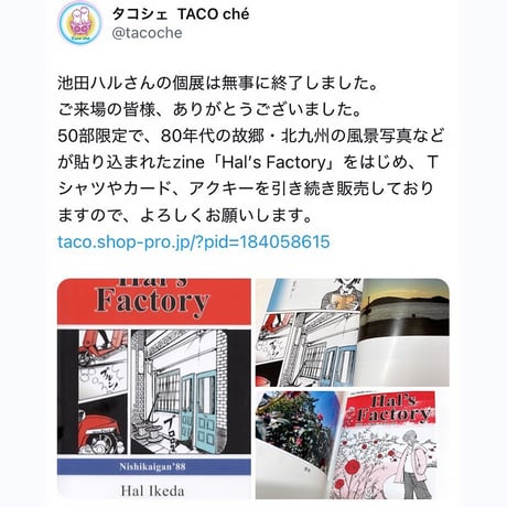 春のファクトリー / Hal’s Factory  漫画＋写真 エッセイ集 新刊 ZINE◎