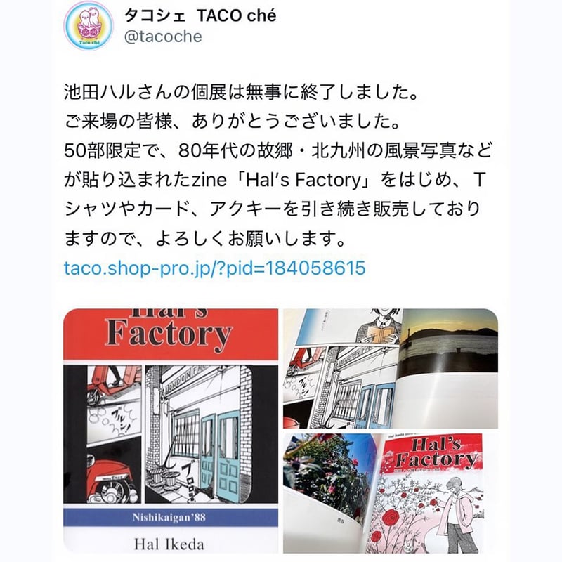 春のファクトリー / Hal's Factory 漫画＋写真 エッセイ集 新刊 ZINE◎