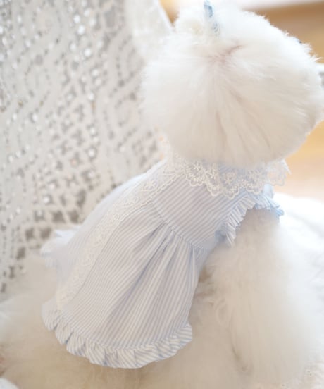 ☆Sサイズラスト1点☆【Picnic of Marie Antoinette】Lovely Stripe Dress （ラブリーストライプドレス）Sサイズ