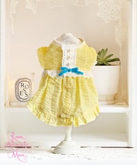⭐️残1枚【Alice in Wonderland】Citron Pearl Dress（シトロンパールドレス）Sサイズ