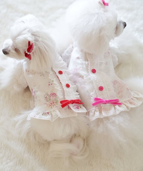 ☆Sサイズのみ☆【Botanical Love】Powder  Pink  Rosie Dress（パウダーピンクロージードレス）