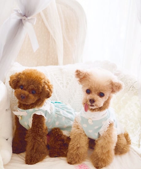 ※ラスト1枚※【 AngelicMoon Chambre】Lovely Cloudy Boys（ラブリークラウディボーイズ）　XS サイズ