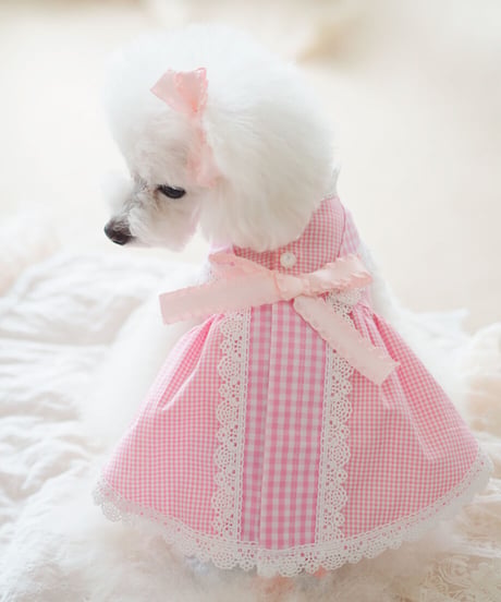 【Picnic of Marie Antoinette】Sweet Vichy Dress (スィートヴィシードレス）Pink（ピンク） XSサイズ・Sサイズ