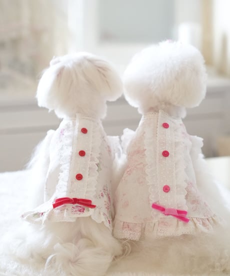 ☆Sサイズのみ☆【Botanical Love】Powder  Pink  Rosie Dress（パウダーピンクロージードレス）