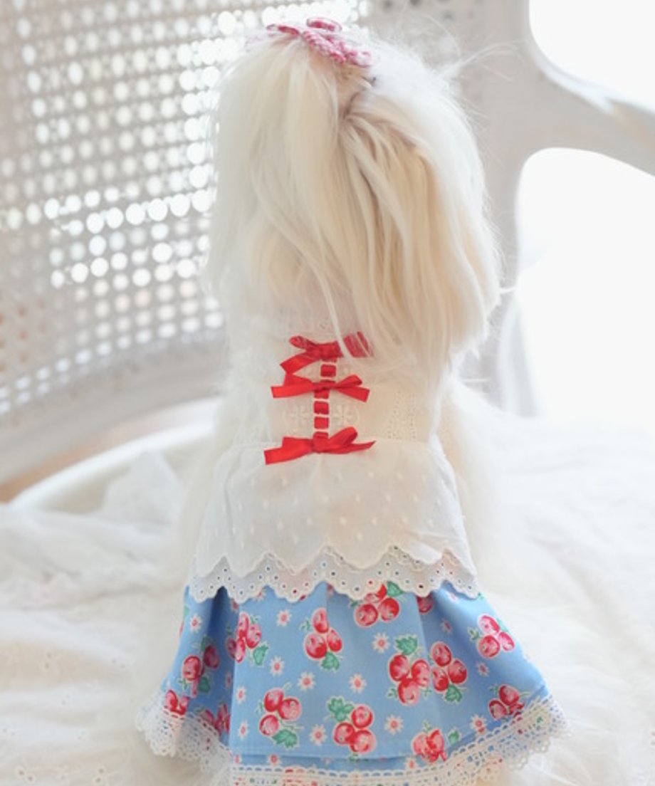 68358188fad3bf9c80e4825b