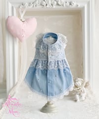 【 Picnic of Marie Antoinette】XSサイズ/Robe en jean （ローブアンジーン）　ピンク/ブルー