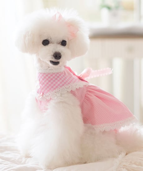 ☆ラスト1点☆【Picnic of Marie Antoinette】Sweet Vichy Dress (スィートヴィシードレス）pink （ピンク）Mサイズ