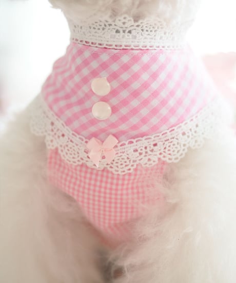 ☆ラスト1点☆【Picnic of Marie Antoinette】Sweet Vichy Dress (スィートヴィシードレス）pink （ピンク）Mサイズ