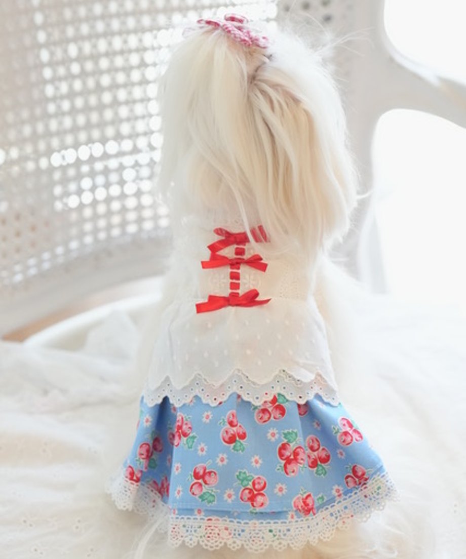 68358188fad3bf9c80e4825b