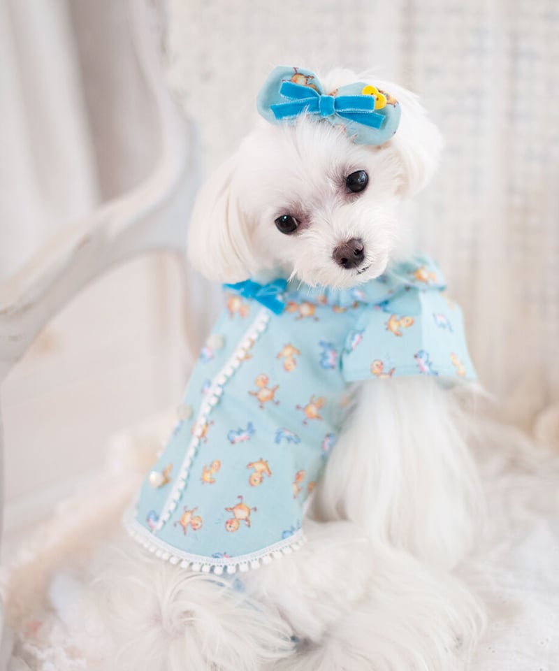 Chambre】Mon Poussin Barrette（モン プサン バレッタ） | Ro