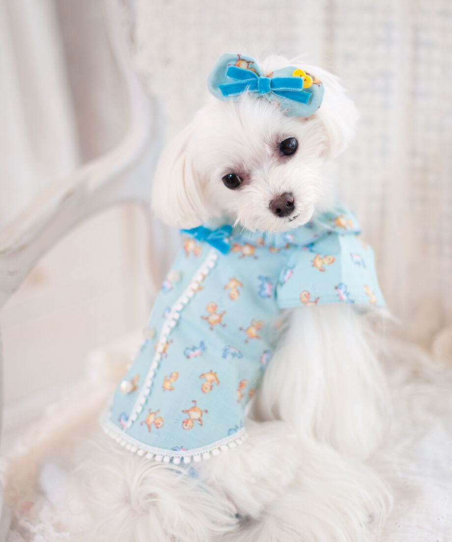 Chambre】Mon Poussin Barrette（モン プサン バレッタ） | Ro