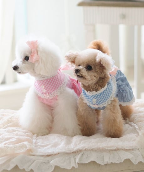 【Picnic of Marie Antoinette】Sweet Vichy Dress (スィートヴィシードレス）Pink（ピンク） XSサイズ・Sサイズ