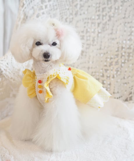 ＊ラスト1枚XSサイズ＊【Vichy】Lemon Drop Dress（レモンドロップドレス）