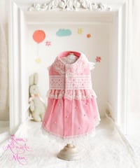 ＊Sサイズラスト1枚＊【 Picnic of Marie Antoinette】Robe en jean （ローブアンジーン）Rose（ピンク）Sサイズ