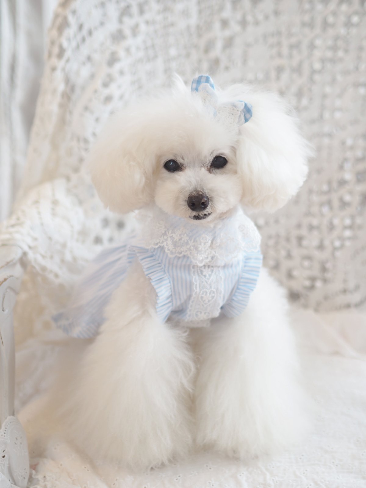 Picnic of Marie Antoinette】Lovely Stripe Dress