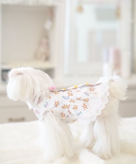 ☆ラスト1枚ずつ【Chambre】Mon Poussin Dress  Blanc（モン プサン ドレス ブラン）