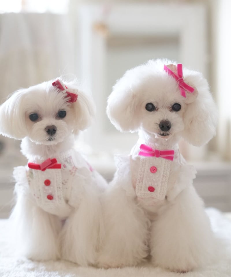 ☆Sサイズのみ☆【Botanical Love】Powder Pink Rosie Dre