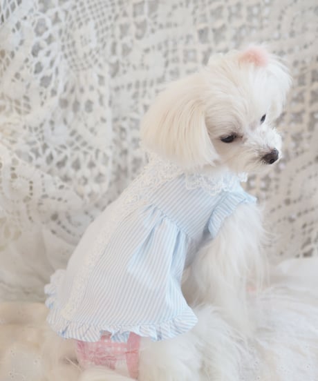 ☆Sサイズラスト1点☆【Picnic of Marie Antoinette】Lovely Stripe Dress （ラブリーストライプドレス）Sサイズ